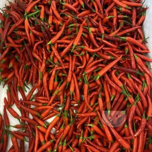 KiosKana Cabe Rawit Merah 300 gr PRE ORDER BACA DENGAN TELITI!!! Segar