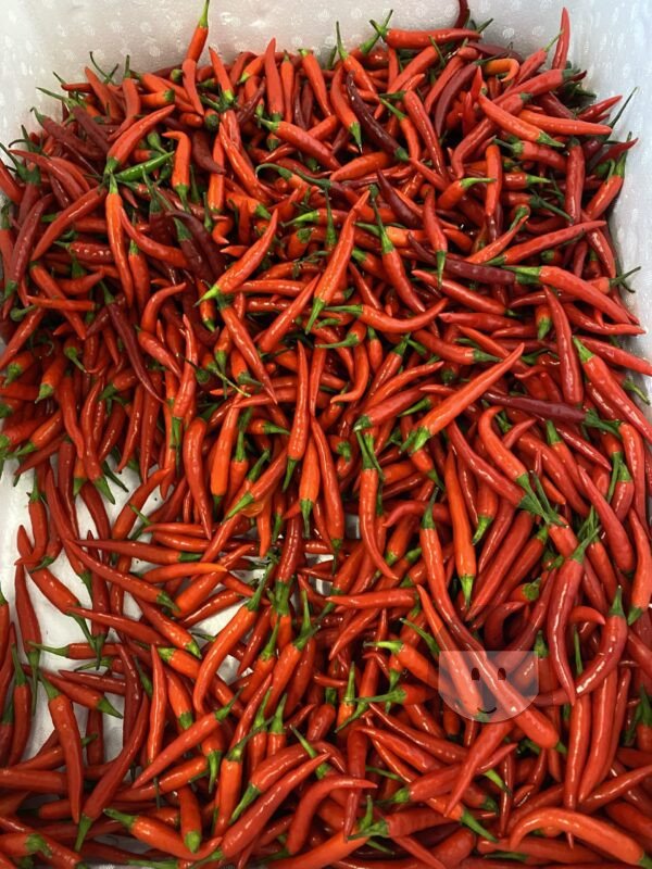 KiosKana Cabe Rawit Merah 300 gr PRE ORDER READ CAREFULLY!!! *SENDING AT OWN RISK*