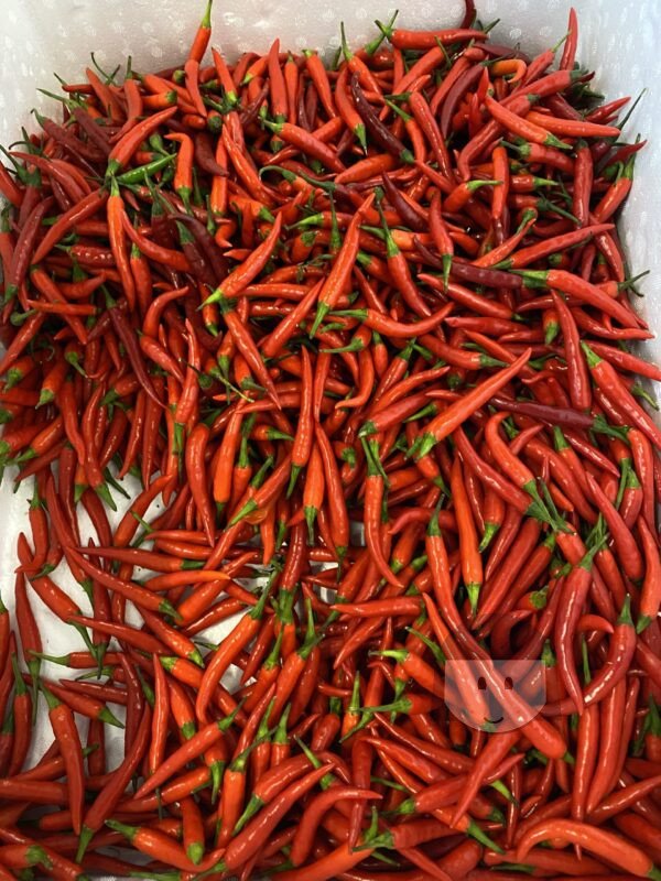 KiosKana Cabe Rawit Merah 300 gr PRE ORDER LEES ZORGVULDIG DOOR!!! Vers