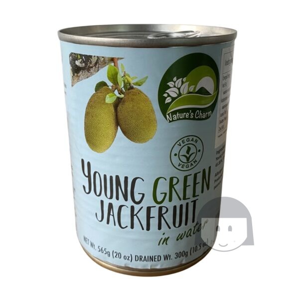Nature Charm Jonge Groene Jackfruit in Water 565 gr