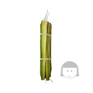 KiosKana Frozen Janur untuk Membuat 10 pcs Ketupat 125 gr *SENDING AT OWN RISK* Fresh & Frozen
