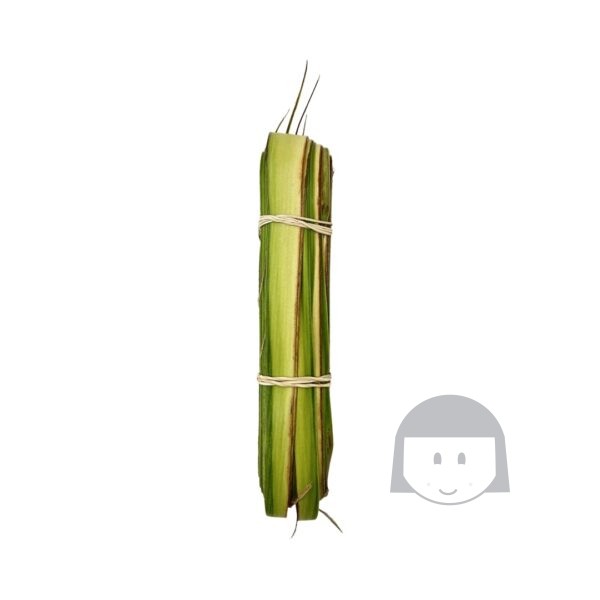 KiosKana Frozen Janur untuk Membuat 10 pcs Ketupat 125 gr *SENDING AT OWN RISK* - Image 2